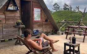 Backpackers Hostel